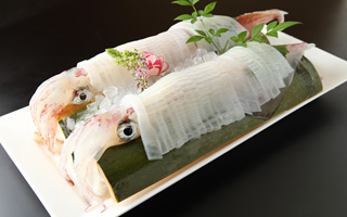 いかの活き造り|和食メニュー一覧|たつみ寿司